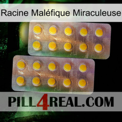 Racine Maléfique Miraculeuse new10